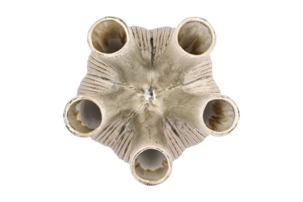 Vaza "Aglio" II